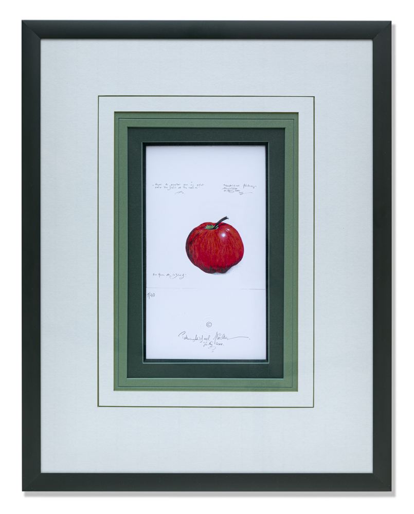 Under license CC BY-SA 4.0 on https://www.debian.org/debian-logo (english picture provided) [Image description: Framed red...